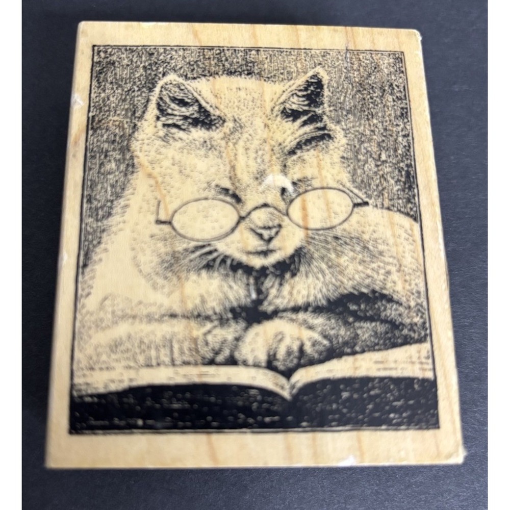 Stampendous Cattus Librum Rubber Stamp V239 Cat Reading Library Kitty Glasses